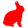 20-red rabbit.jpg