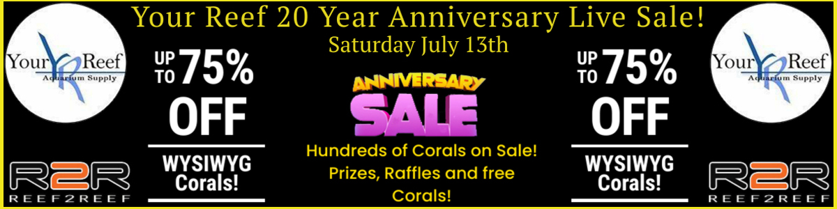 20 year anniversary live sale 1200x300.jpg