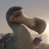 200.gif