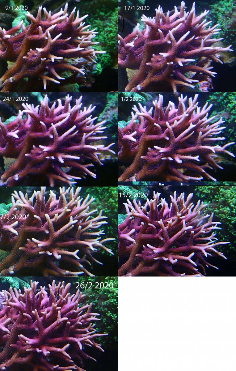200226.jpg