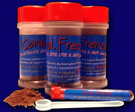 2006 Coral Frenzy Jar.jpg