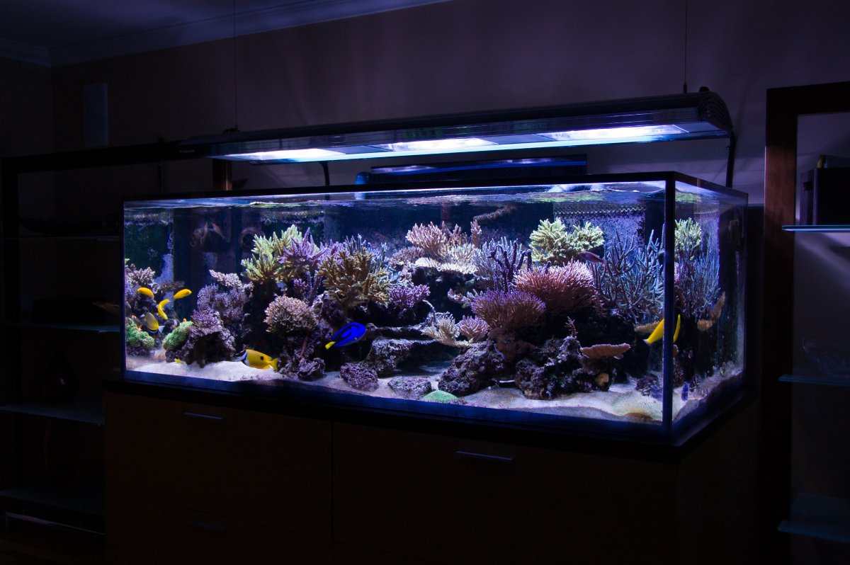 20100912-DSC_2829.jpg