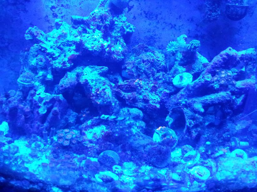 20111125_101744.jpg
