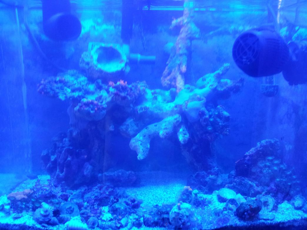 20120326_124902.jpg