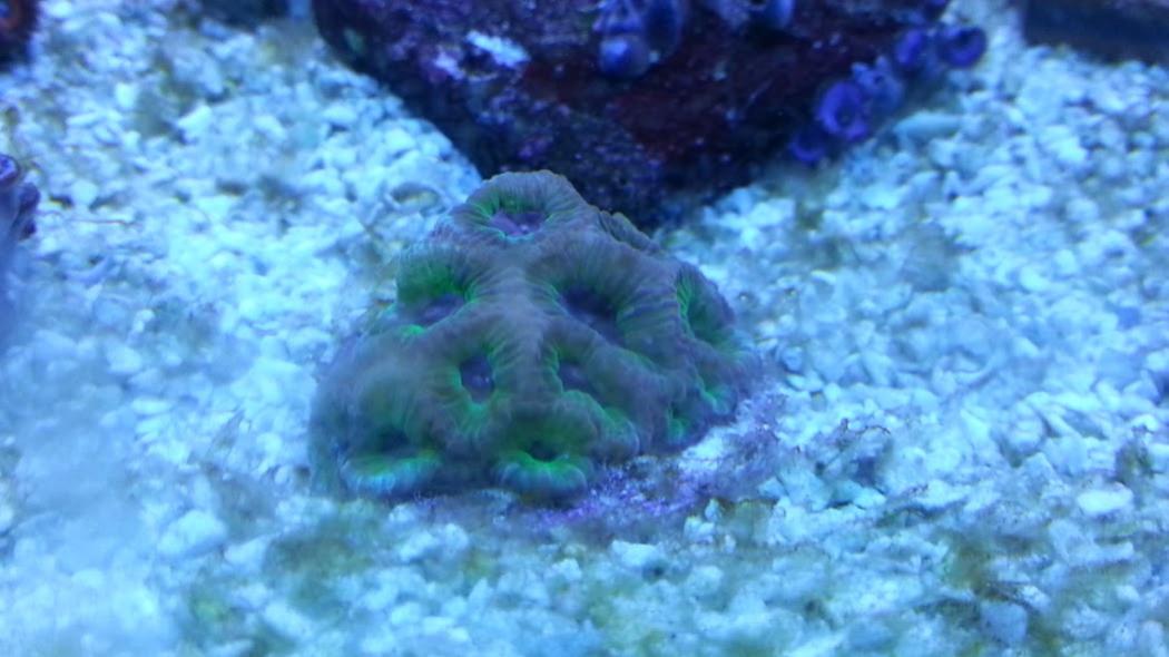 20120710_222152.jpg