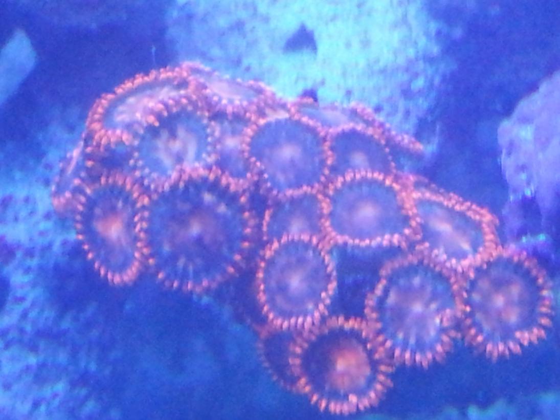 20120722_143356.jpg