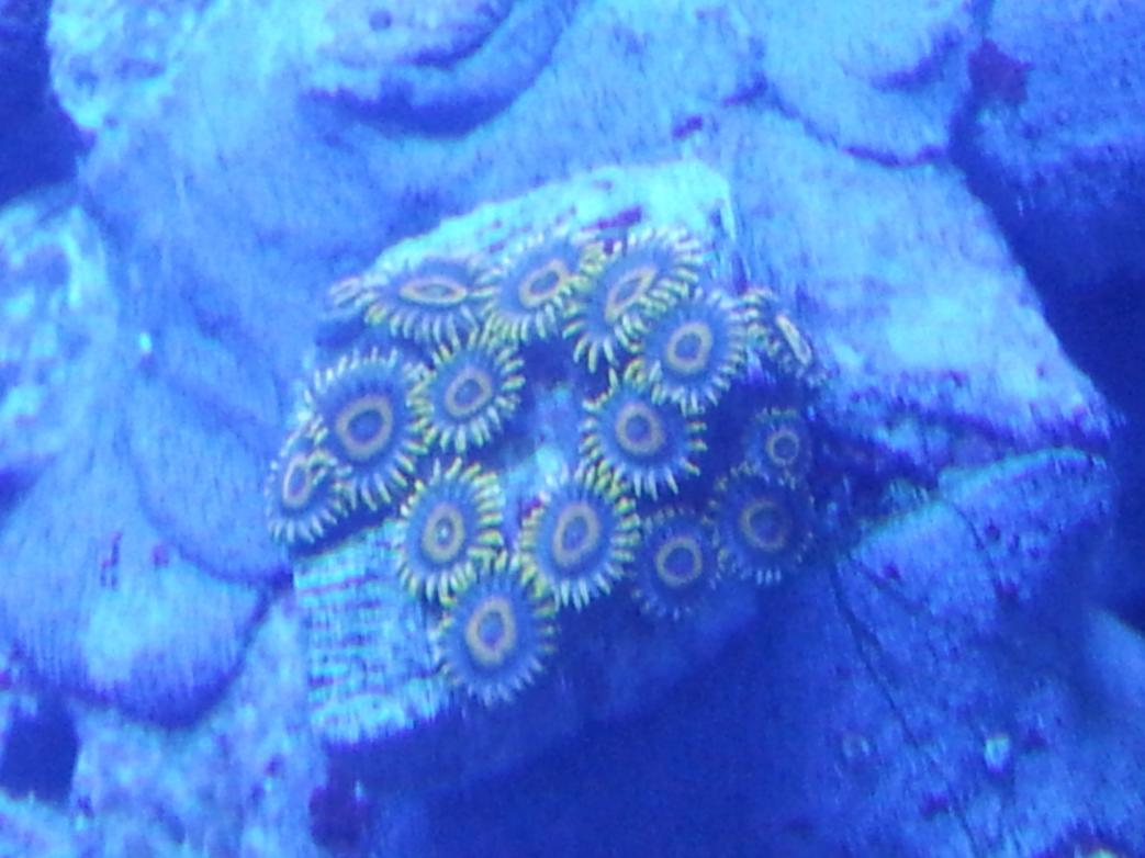20120722_143620.jpg