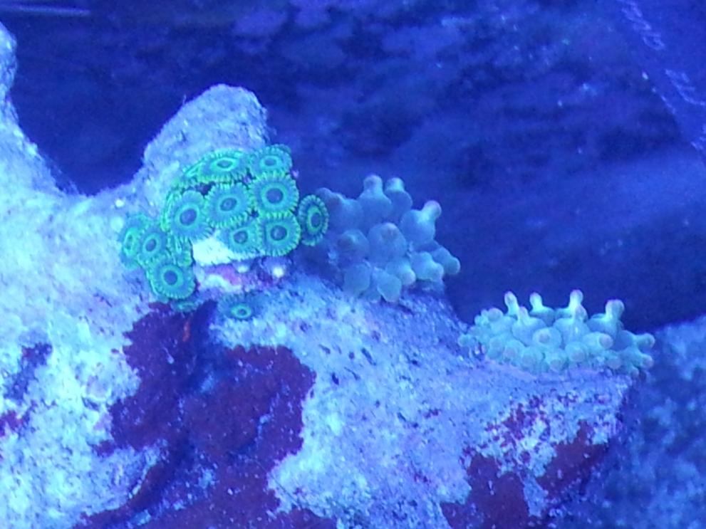 20120722_144018.jpg