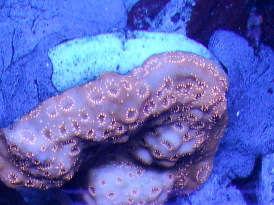 20120722_144334.jpg