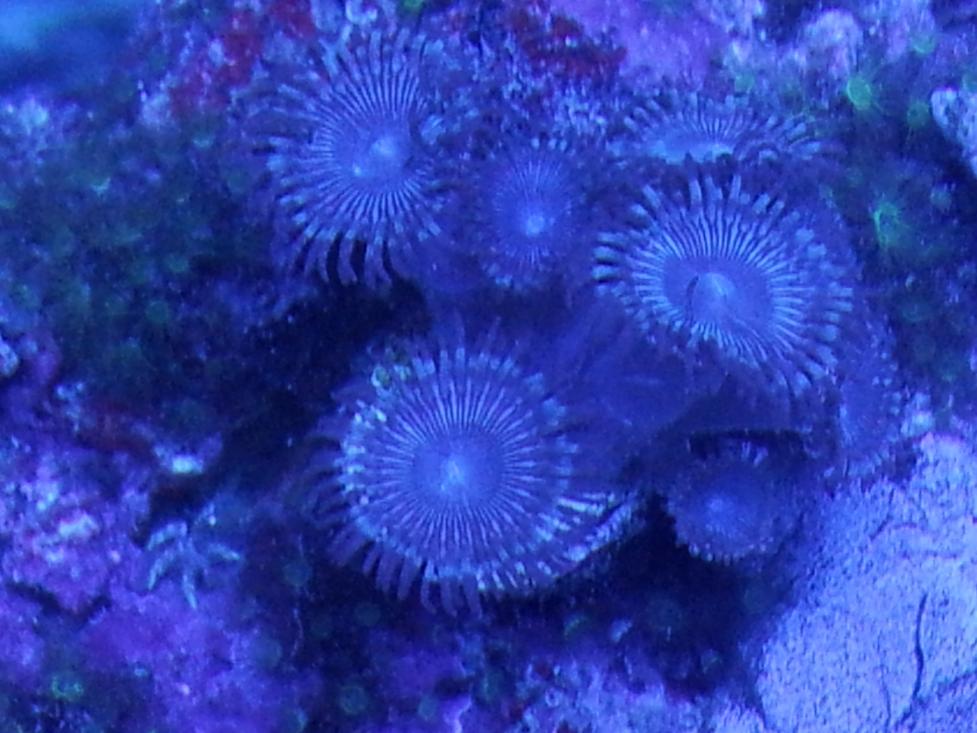 20120722_144358.jpg
