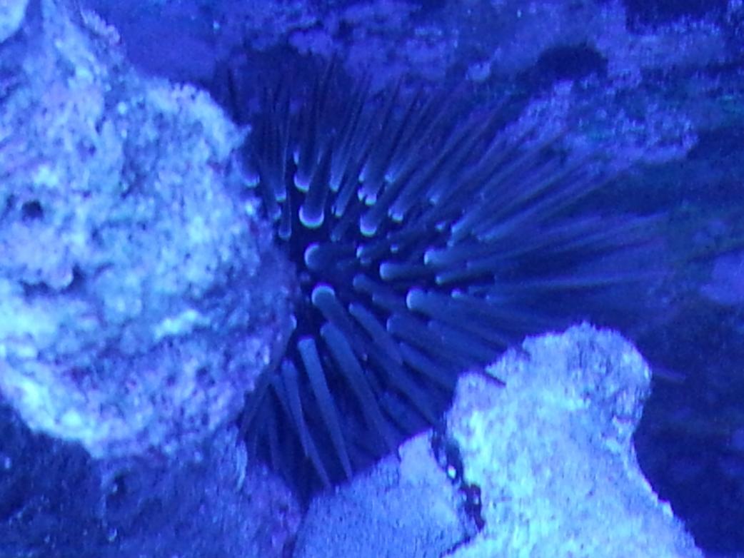 20120722_144411.jpg