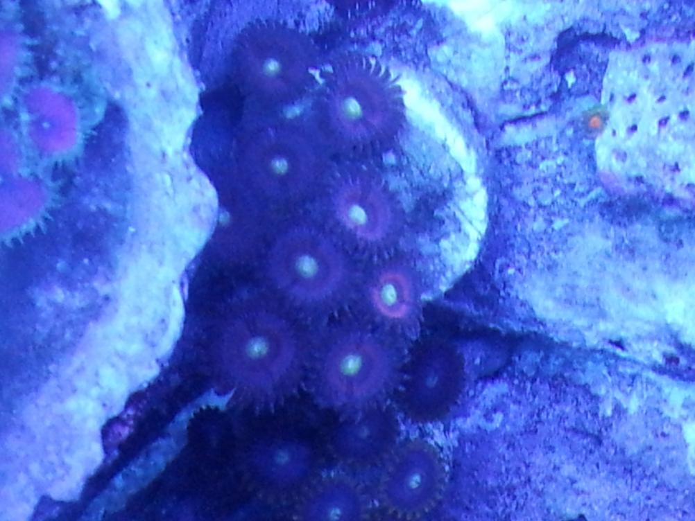 20120722_144720.jpg