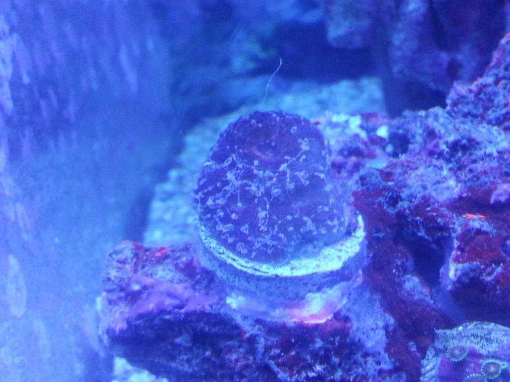 20120722_145159.jpg