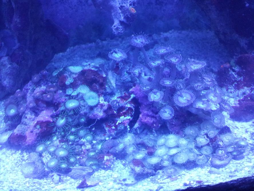20120722_145221.jpg