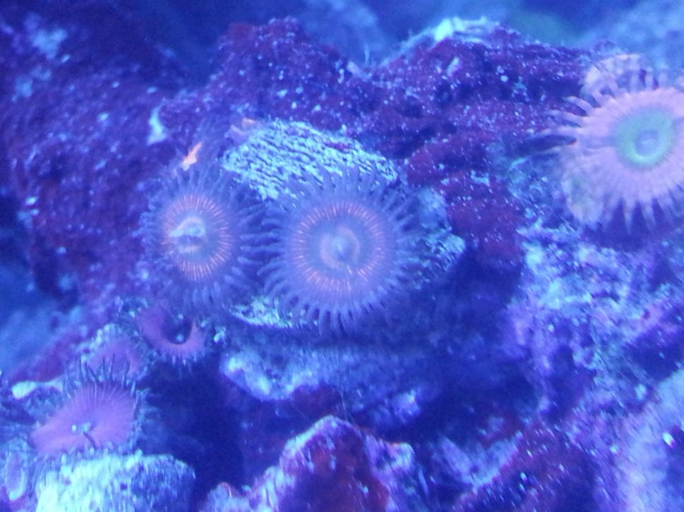 20120722_145319.jpg