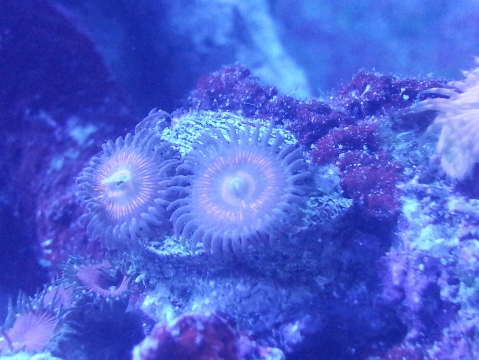 20120722_145333.jpg