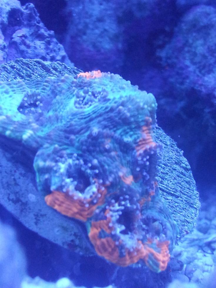 20120722_145504.jpg