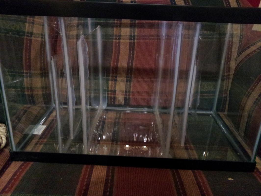 20120722_211338.jpg