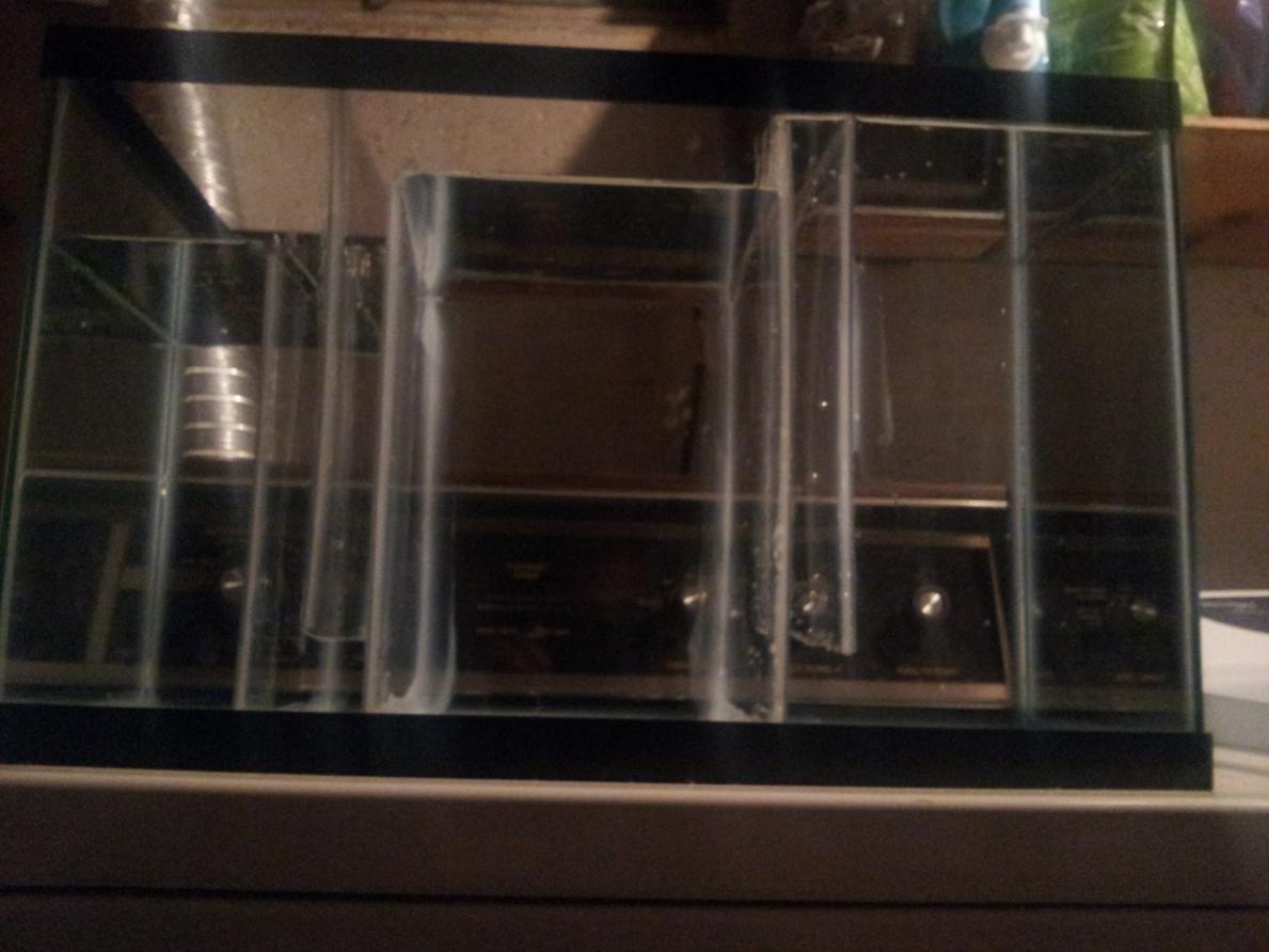20120724_194809.jpg