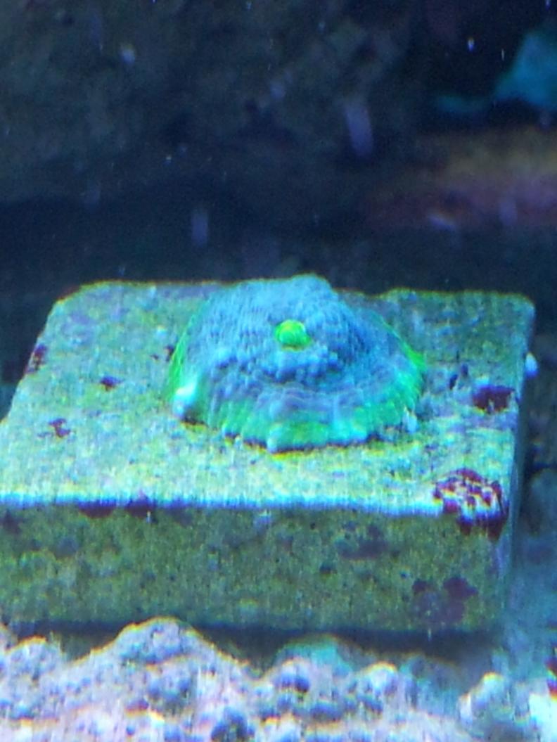 20120819_180124.jpg