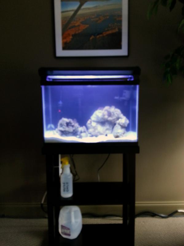 20121008_104834.jpg