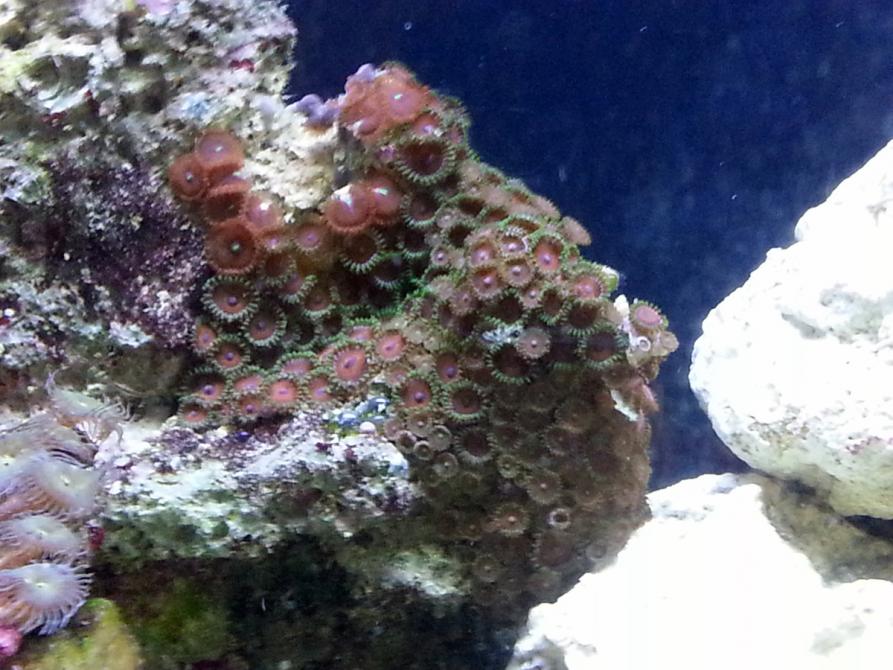 20121014_114339.jpg