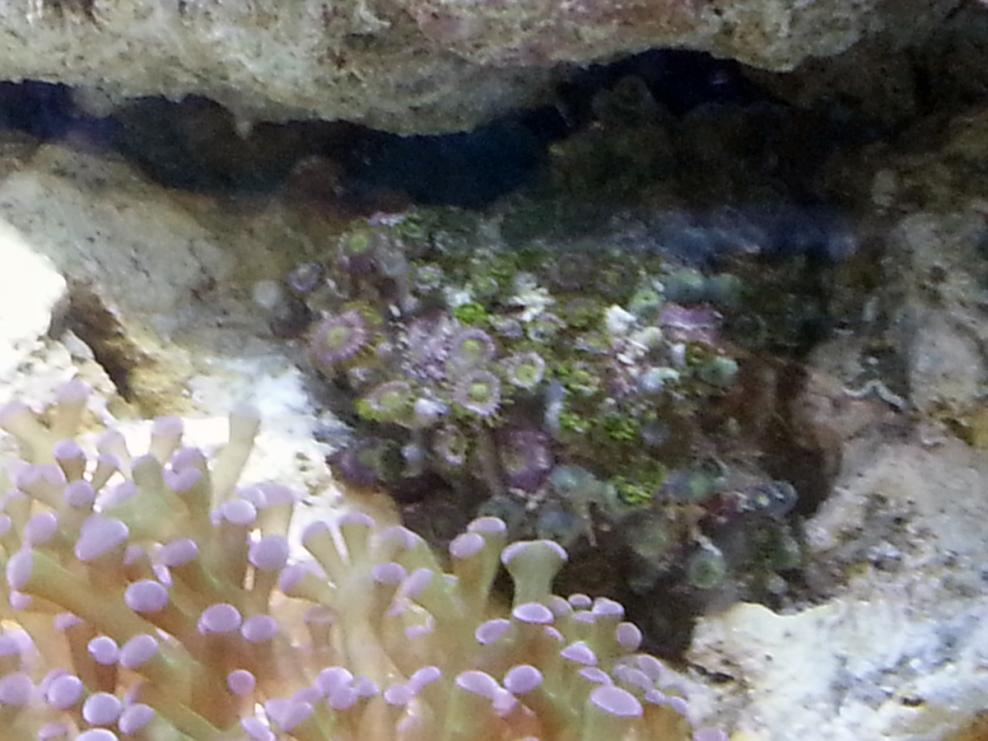 20121014_114357.jpg