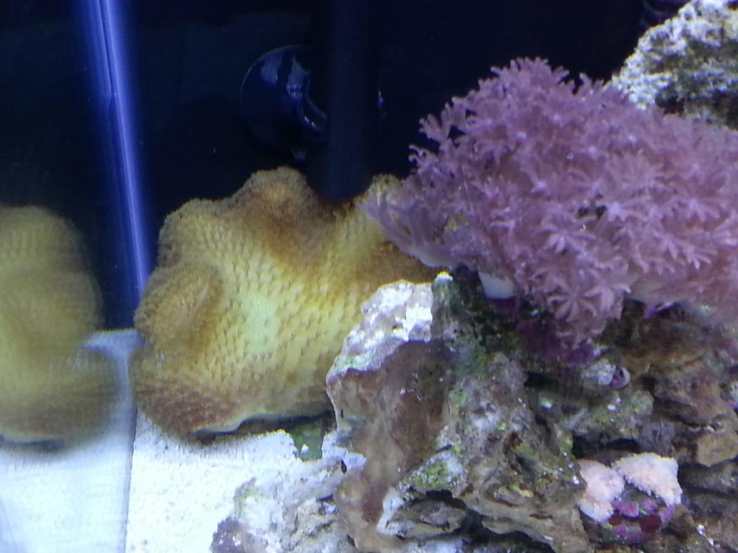 20121014_114434.jpg