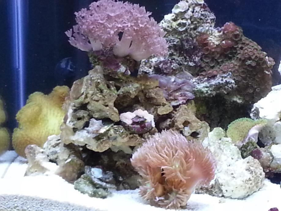 20121014_114513.jpg