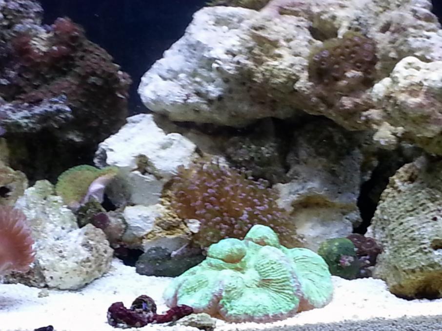 20121014_114517.jpg