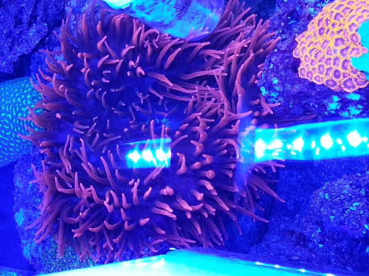 20121115_180945.jpg