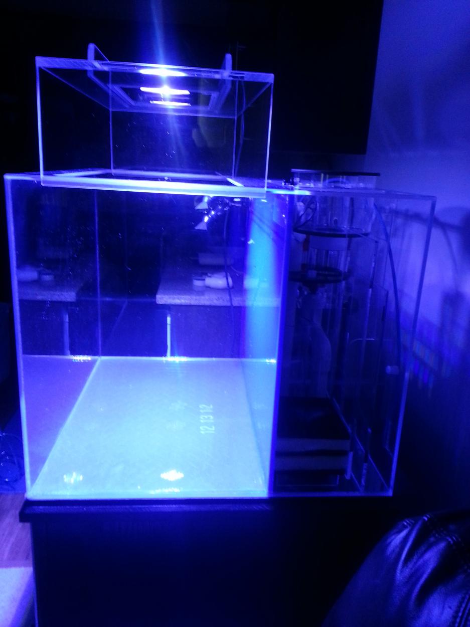 20130601_122908.jpg