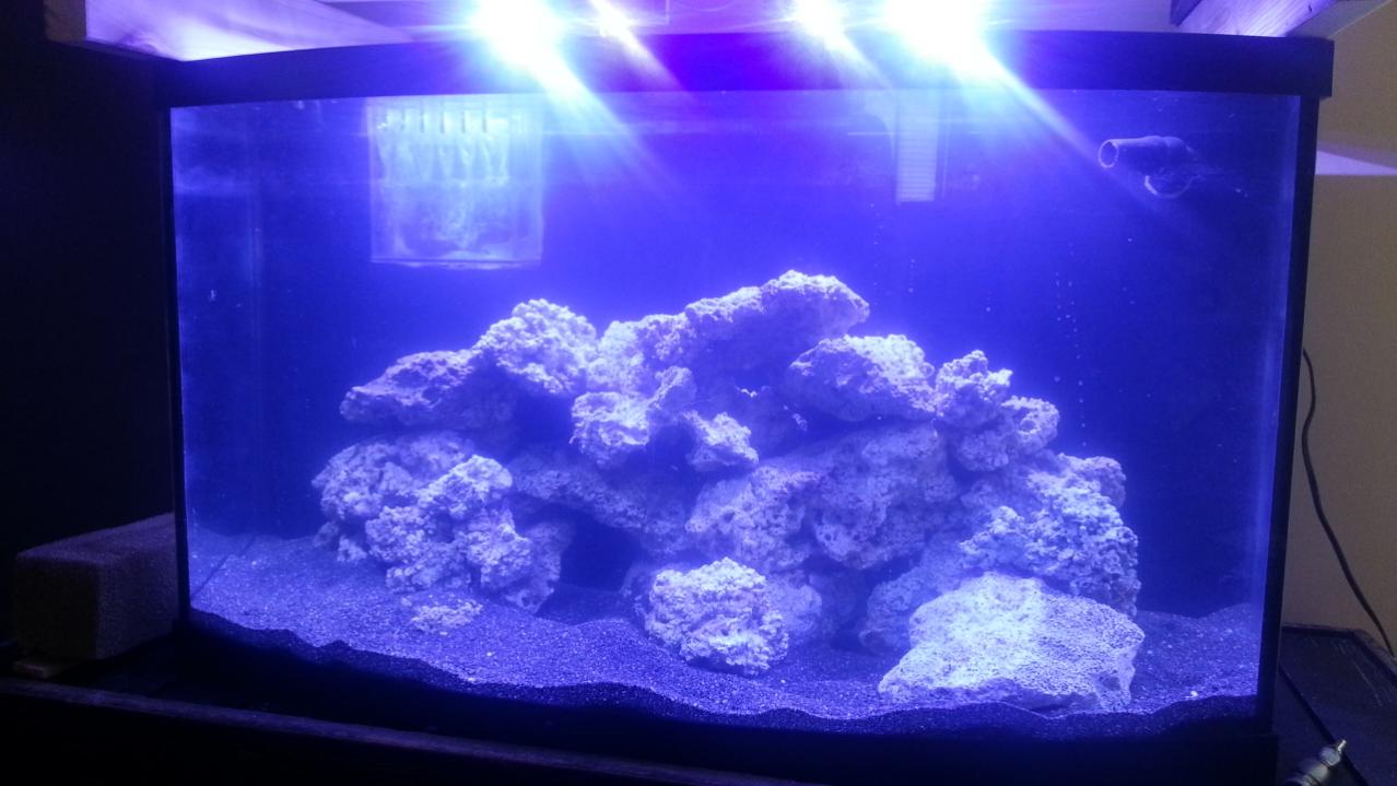 20130702_090932.jpg