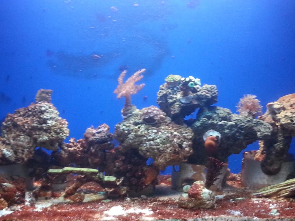 20130817_172227.jpg