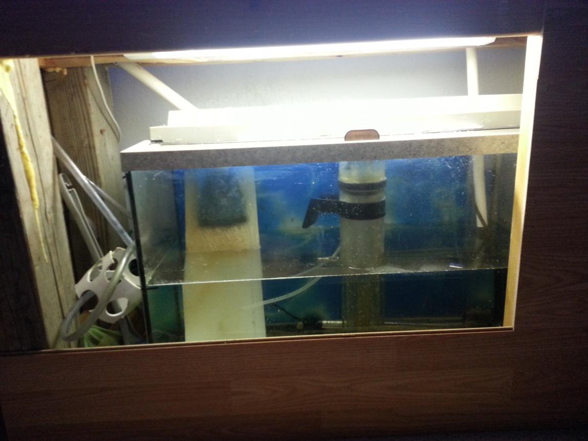 20130817_172324.jpg