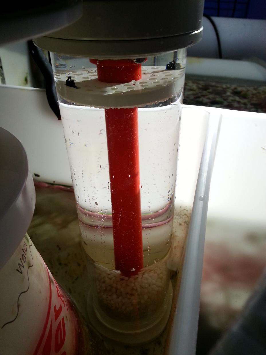 20130823_210152.jpg
