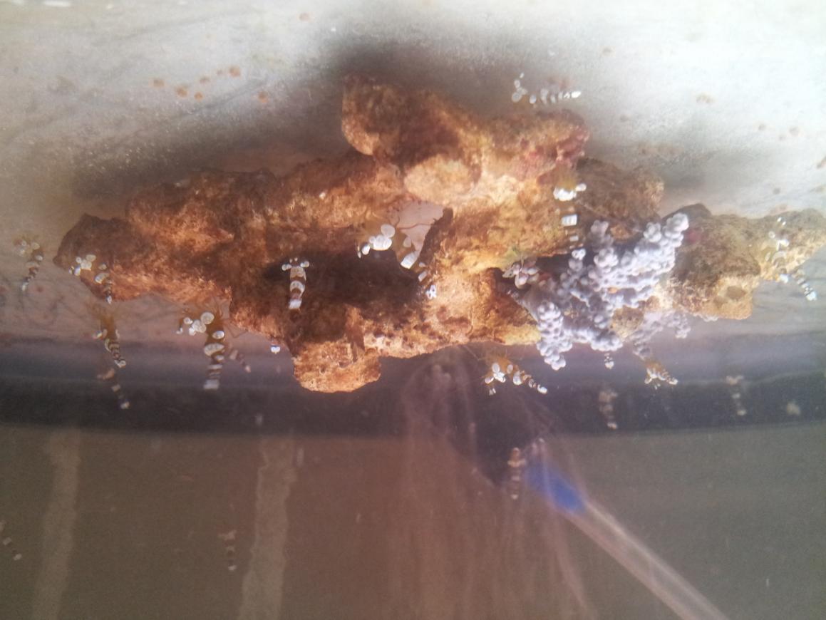 20130902_120943.jpg