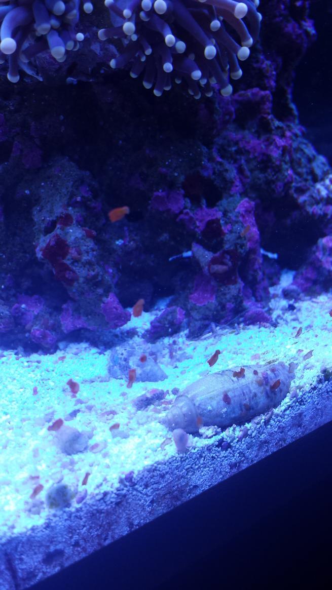 20130904_155115.jpg