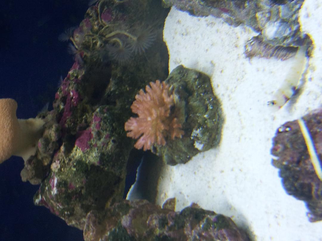 20131013_173757.jpg