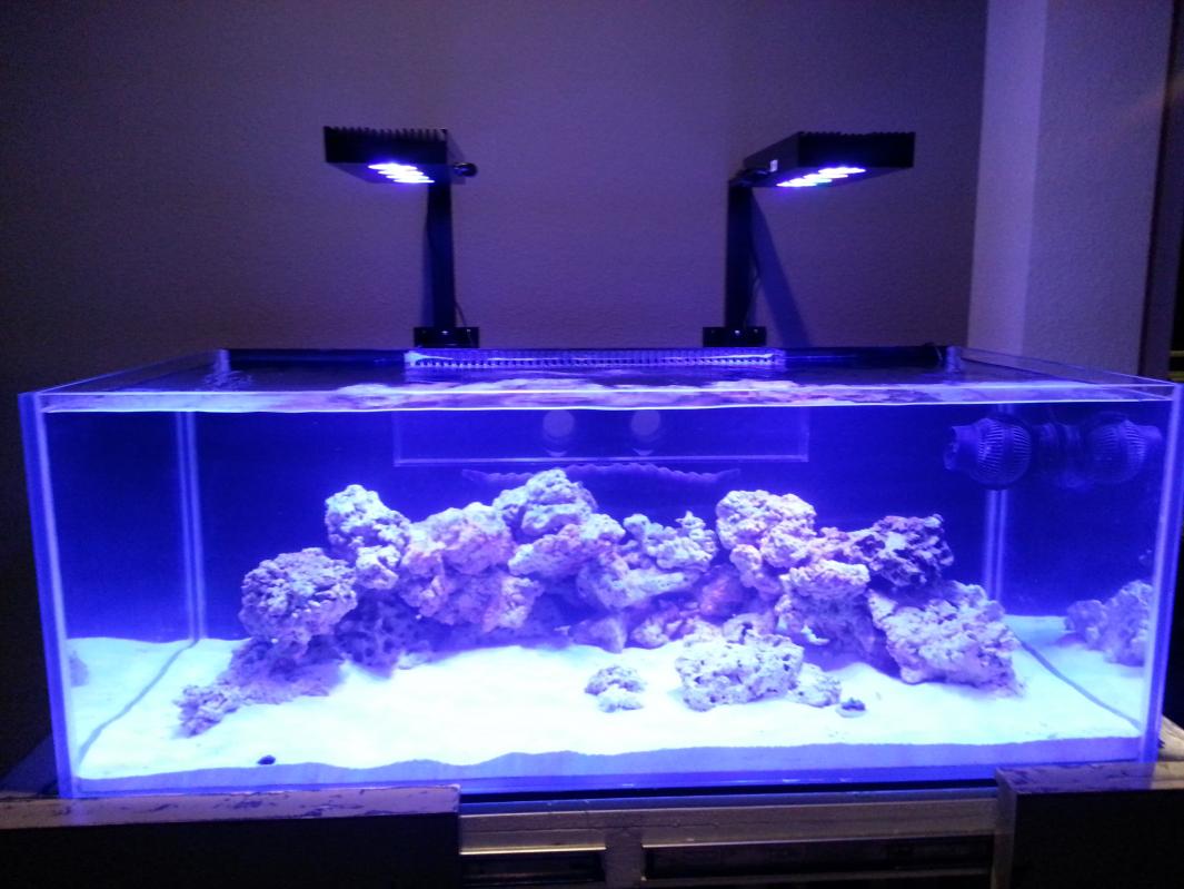 20131109_192857.jpg