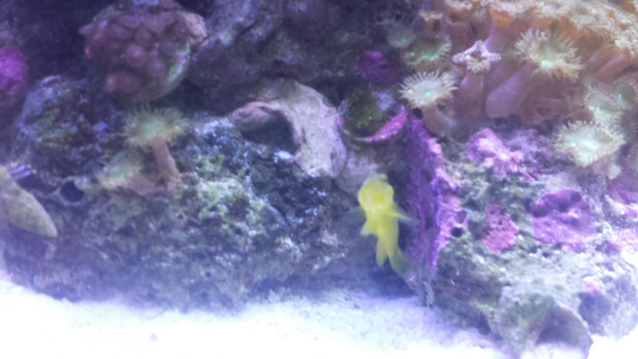 20131111_193722.jpg
