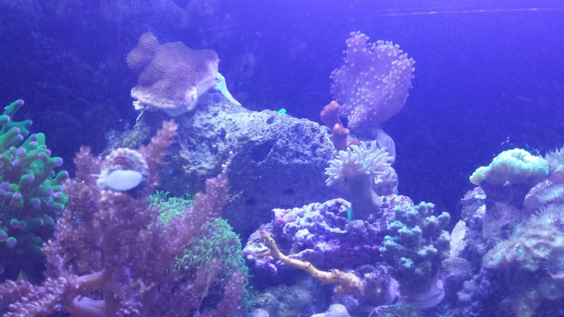 20131111_193729.jpg