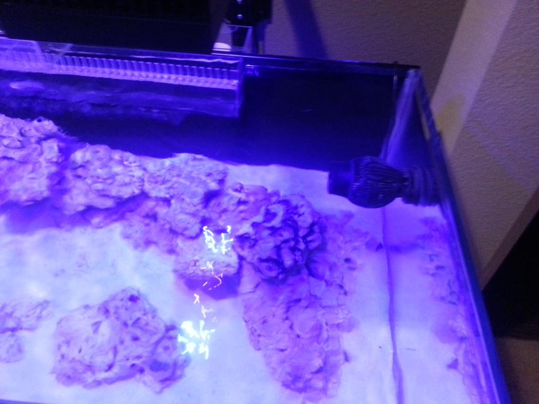 20131112_194825.jpg