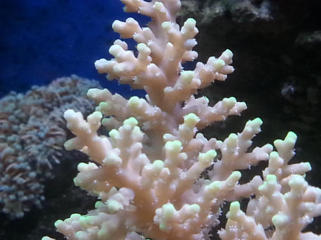 20131120_213945.jpg