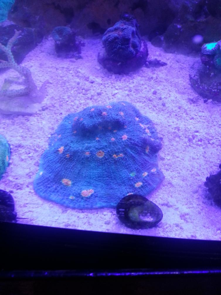 20131218_215638.jpg