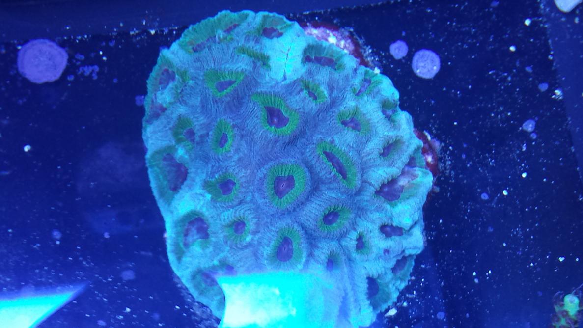 20140104_183527.jpg