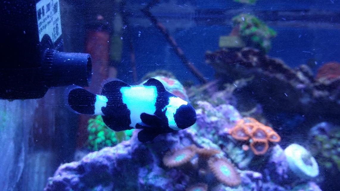20140114_211601.jpg