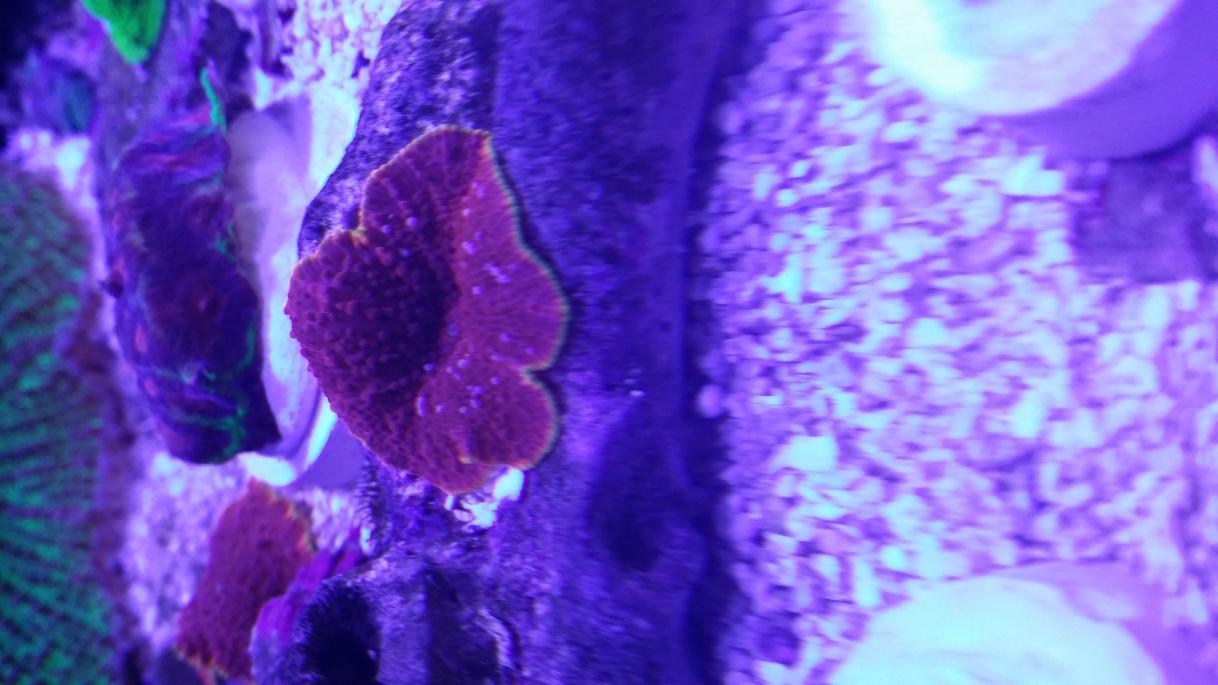 20140127_130900.jpg