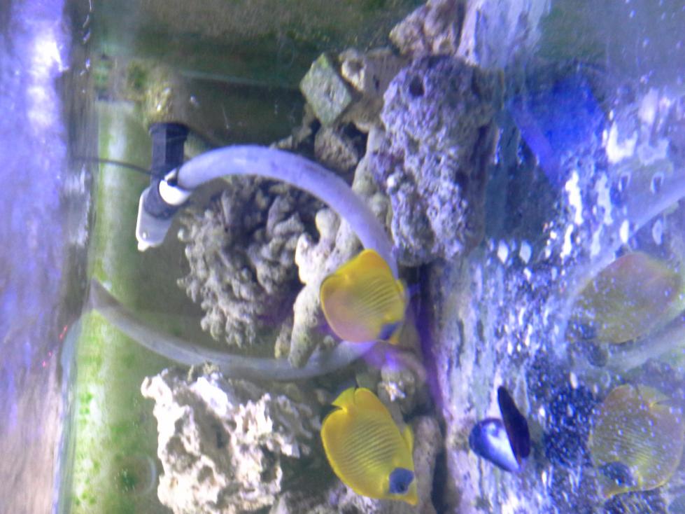 20140130_214519.jpg