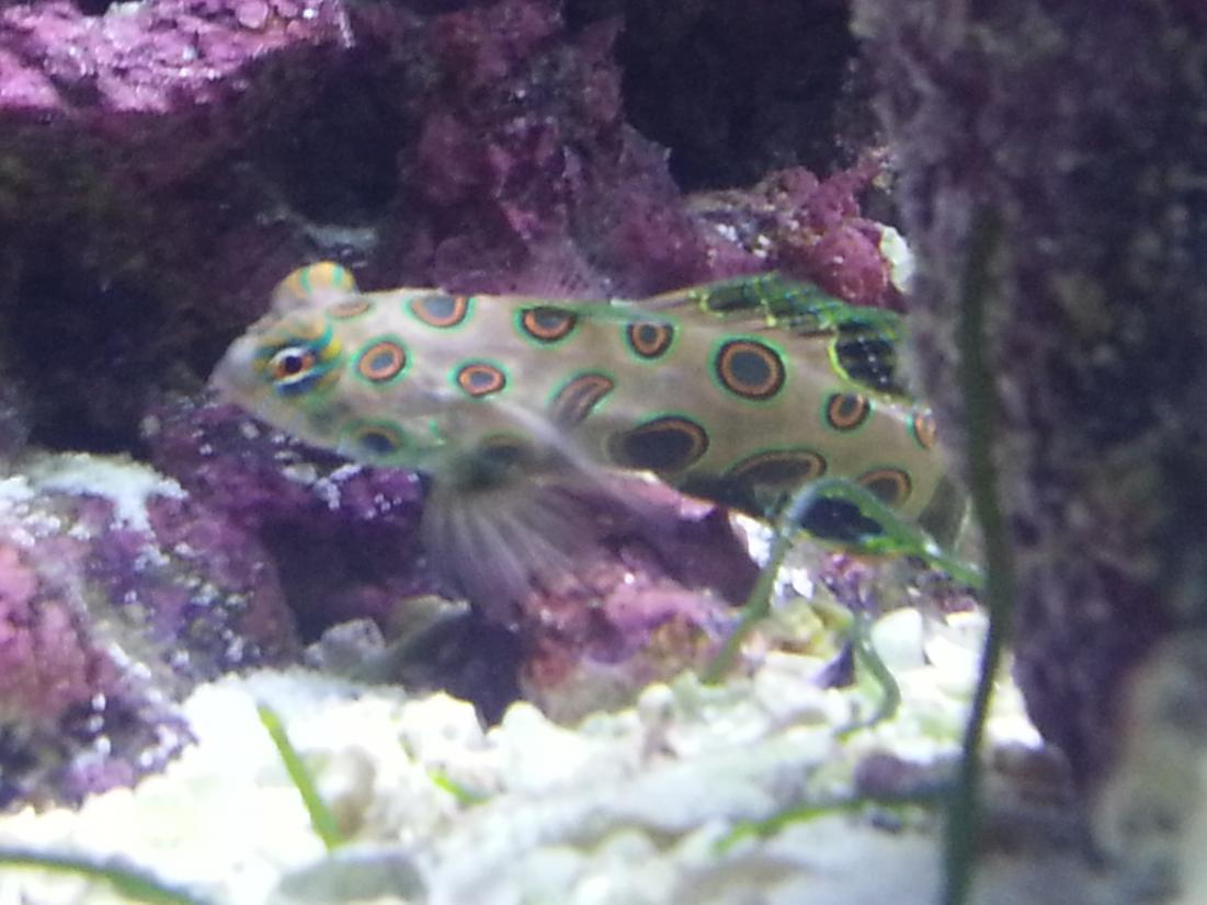 20140225_120751.jpg